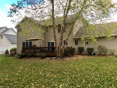 Rear yard, which has hosted wedding showers, birth