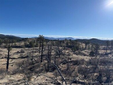 0 F Path and 37th Trail, Cotopaxi, CO 81223 - photo 7