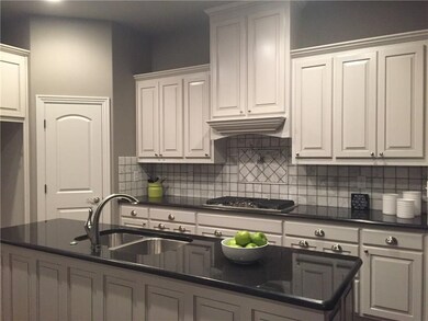 Wow what a kitchen !! Gas cooktop plus pot filer.