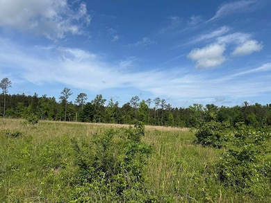 1331 Coal Bluff Rd, Lena, MS 39094 - photo 3