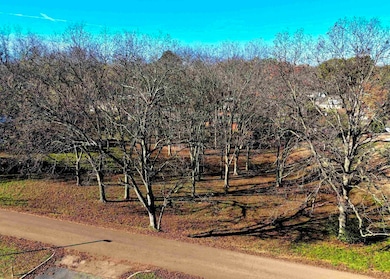 0 Crigger St, Munford, TN 38058 - photo 3