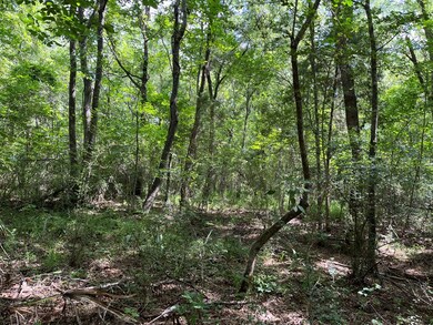 0000 Farm To Market Road 2864, Nacogdoches, TX 75965 - photo 6