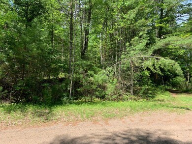 Lot 3 Somo Ridge Dr, Woodruff, WI 54568 - photo 3