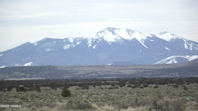 2424 E Valle Rd, Williams, AZ 86046 - photo 3