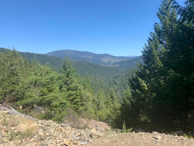 19265 Usfs Route 1 None, Korbel, CA 95550 - photo 4