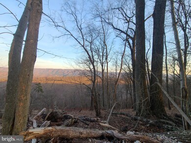 LOT 2 High Knob, Old Fields, WV 26845 - photo 4