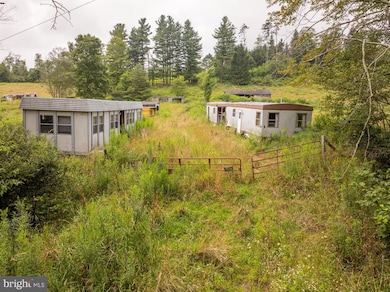 1055 Old Wilson Rd, Swanton, MD 21561 - photo 3