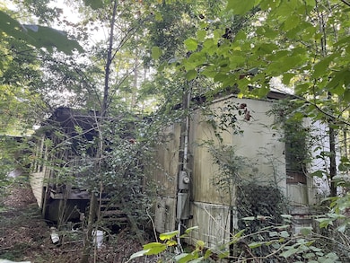 245 Woolf Pass Ln, Sparta, TN 38583 - photo 3