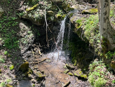 2831 Kelly Hollow Rd, Monongahela, PA 15063 - photo 3