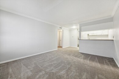 1645 W Main St unit 11, Houston, TX 77006 - photo 6