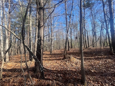 00 Cassidy Bridge and Buckeye Ridge Rd, Mountain  Rest, SC 29664 - photo 2