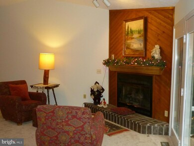 443 Stuart Dr, Basye, VA 22810 - photo 5