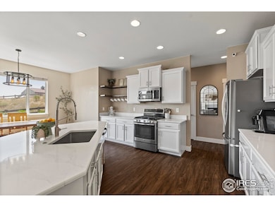 2289 Stonefish Dr, Windsor, CO 80550 - photo 3