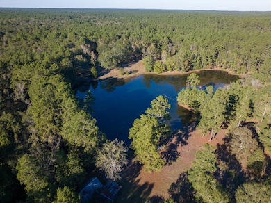 000 Big Woods Rd, New Waverly, TX 77358 - photo 2