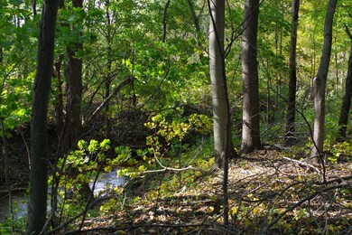 4330 76th St SW unit C, Byron Center, MI 49315 - photo 7
