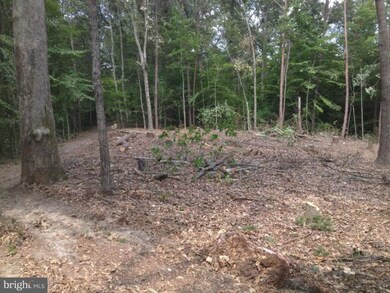 0 Doke Ln unit 1004155414, Fredericksburg, VA 22405 - photo 3