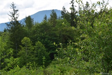 13556 Center Rd, Quilcene, WA 98376 - photo 5