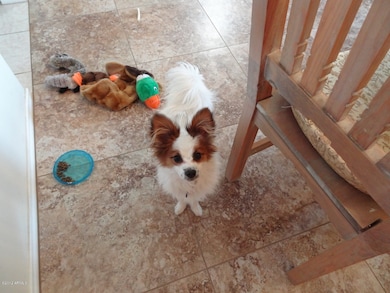 This is Pappy