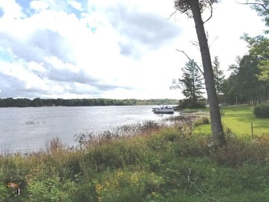 12916 Pickeral Ave, Bitely, MI 49309 - photo 3