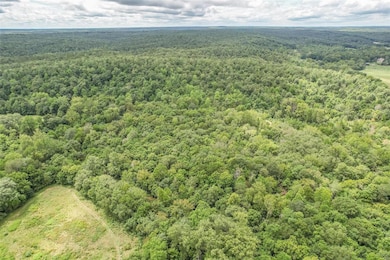 10374 Highway 60 W, Poplar Bluff, MO 63901 - photo 7