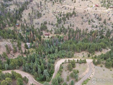 0 Miller Fork Rd unit 1047651, Glen Haven, CO 80532 - photo 6