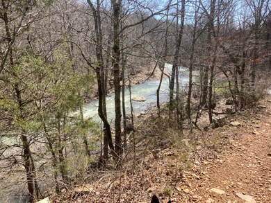 21148 Wild Boar Rd, Winslow, AR 72959 - photo 4