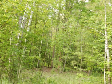 00 Pine St, Newport, VT 05855 - photo 4