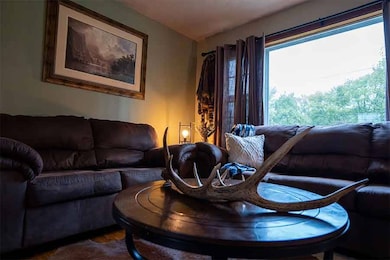 334 W Main St, Walnut Grove, MO 65770 - photo 2