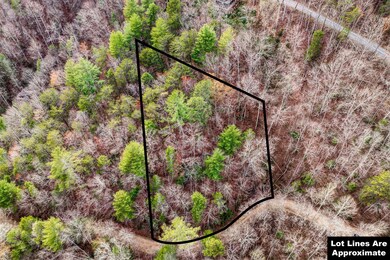06-Meadow View Rd Lot 20-6