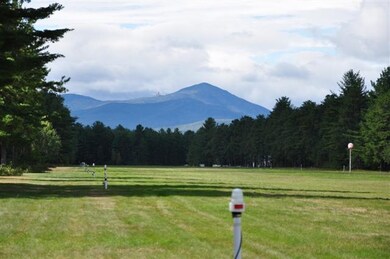 44 Logan Way, West Ossipee, NH 03890 - photo 2