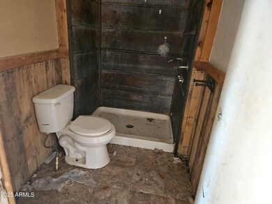 684 S Conejo Rd, Maricopa, AZ 85139 - photo 6