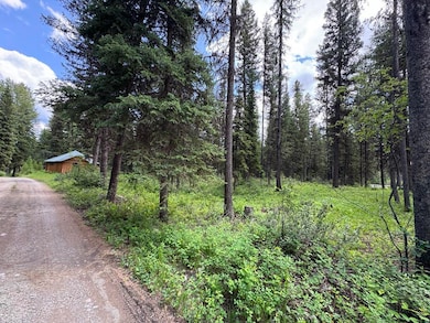 768 Deep Woods Trail, Polebridge, MT 59928 - photo 3