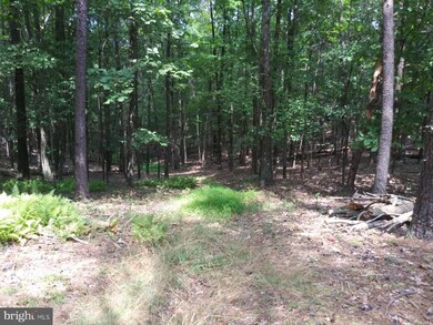 0 Little Cacapon-Levels Rd, Slanesville, WV 25444 - photo 5