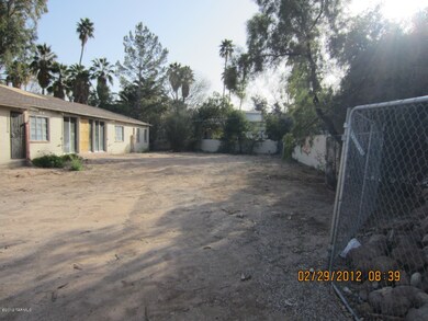 back yard