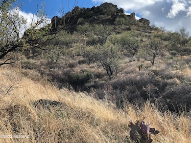 140 Canyon Pass Ct unit 96, Rio Rico, AZ 85648 - photo 4