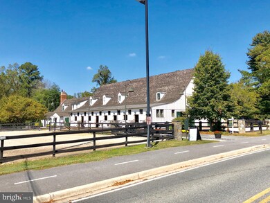 7211 Oakridge Ave, Chevy Chase, MD 20815 - photo 6