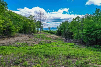 0 Meadow Rd unit Lot 50 4864298, Newbury, NH 03255 - photo 4