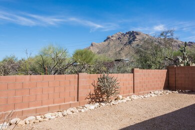 backyard-2