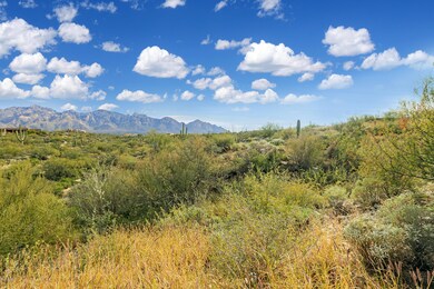stone-canyon-lot-490-1