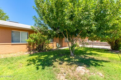 664 E Tyson St, Chandler, AZ 85225 - photo 4
