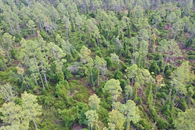 0 Bat Rd unit 16494875, Perry, FL 32347 - photo 3