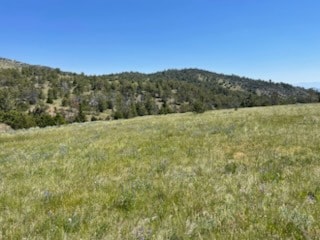 TBD Dozer Rd, Cardwell, MT 59721 - photo 2