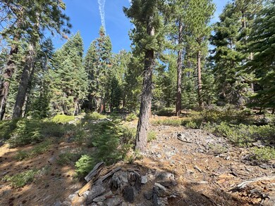 5255 N Lake Blvd, Carnelian Bay, CA 96140 - photo 6