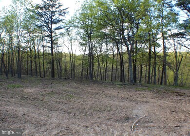 9.08 ac Pylor Way, Grant, WV 26833 - photo 6