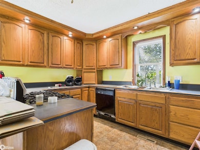 31203 155th St, Floris, IA 52560 - photo 3