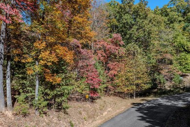 LOT 22 Meadow Brook Trail, Morganton, GA 30560 - photo 3