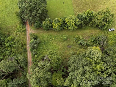 TBD Mystic View Ln, Black Mountain, NC 28711 - photo 6