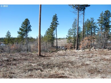 0 Timber unit 66 12454100, Bickleton, WA 99322 - photo 5