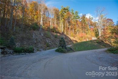 Tract 3 Sigogglin Trail, Jonathan Creek, NC 28785 - photo 7