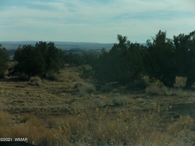 listing photos 024